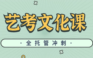 天津滨海高三艺考文化课辅导哪家效果比较好