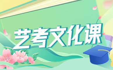 文化课辅导
