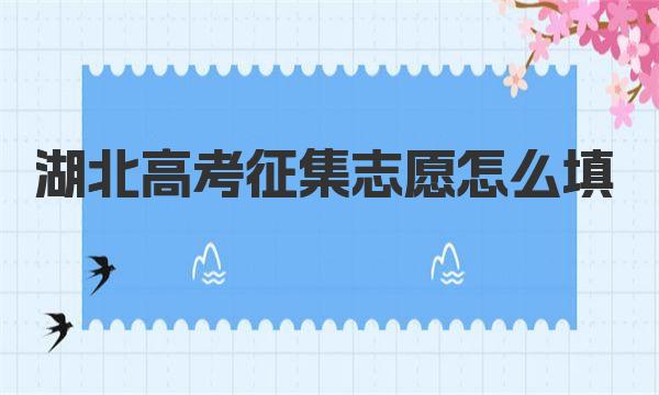 2023湖北高考征集志愿怎么填，附湖北省征集志愿填报注意事项 