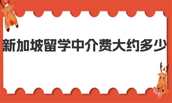 新加坡留学中介费大约多少 你了解过吗