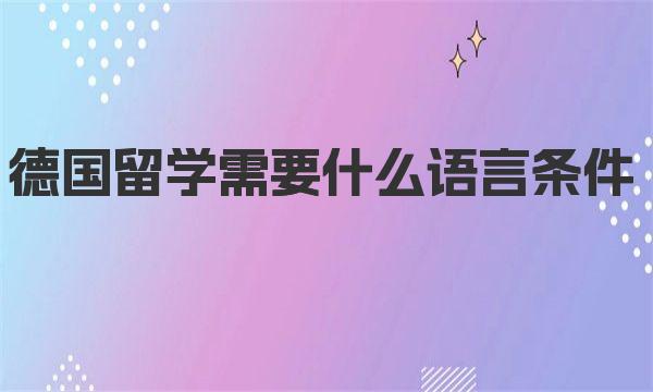 德国留学需要什么语言条件 申请德国留学签证分为几种情况