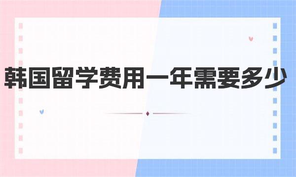 韩国留学费用一年需要多少 留学准备阶段费用