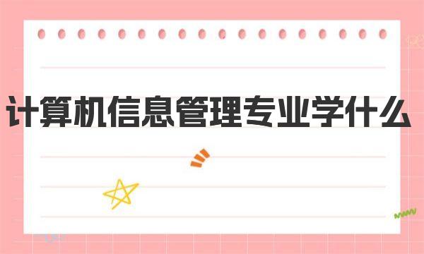 计算机信息管理专业学什么 计算机信息管理专业简介